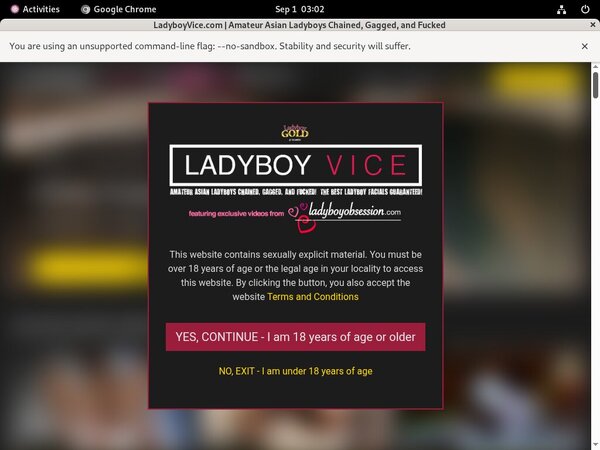 Acc Ladyboy Vice