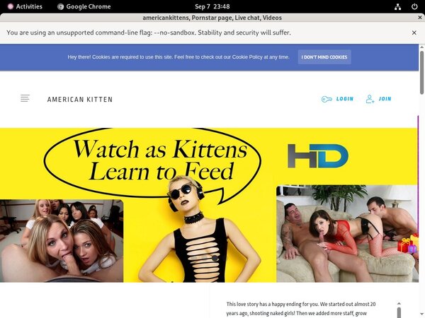 Americankitten.com Without Card