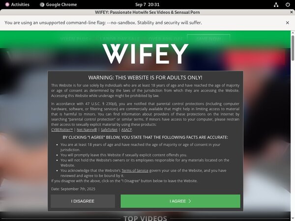 Best Wifey Best Wifey