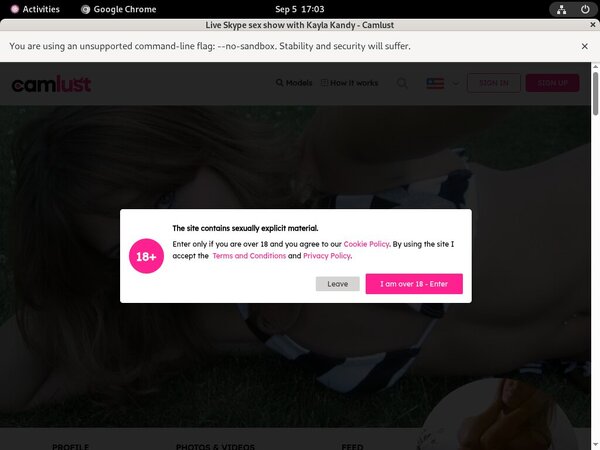 Camlust.com Website Password