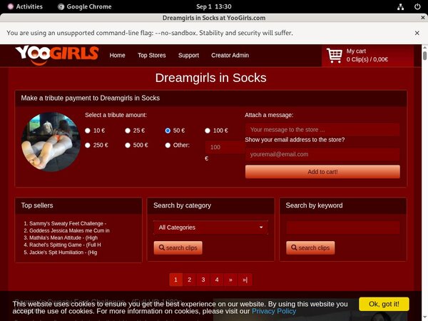 DreamgirlsInSocks Members Discount