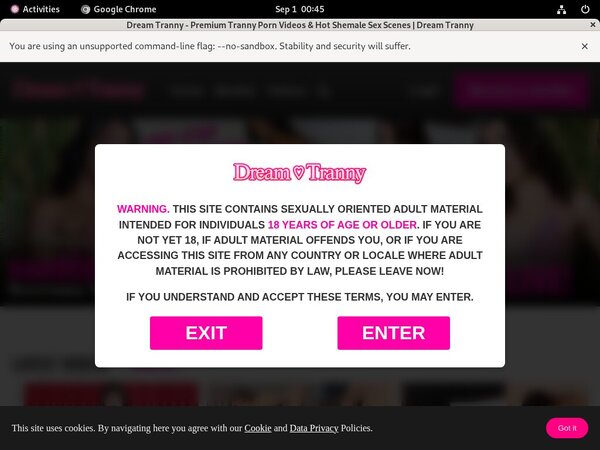 Dreamtranny.com Accounts And Password
