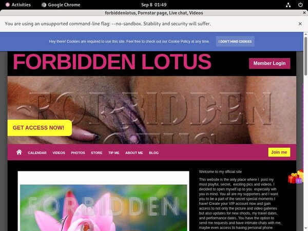 Forbiddenlotus Xxx Videos