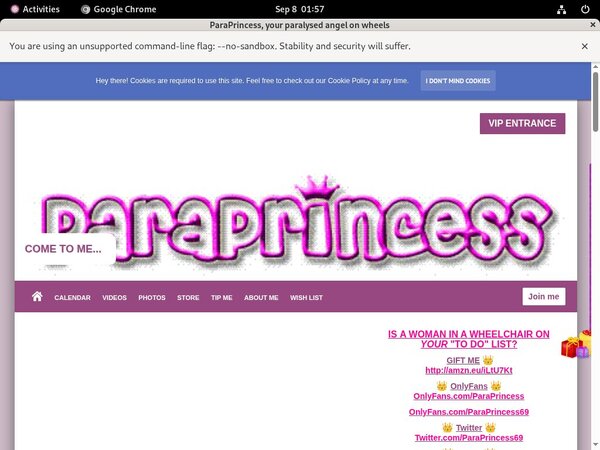 Free Accounts In Paraprincess