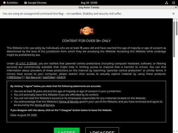 Gayasiantwinkz.com Member Review