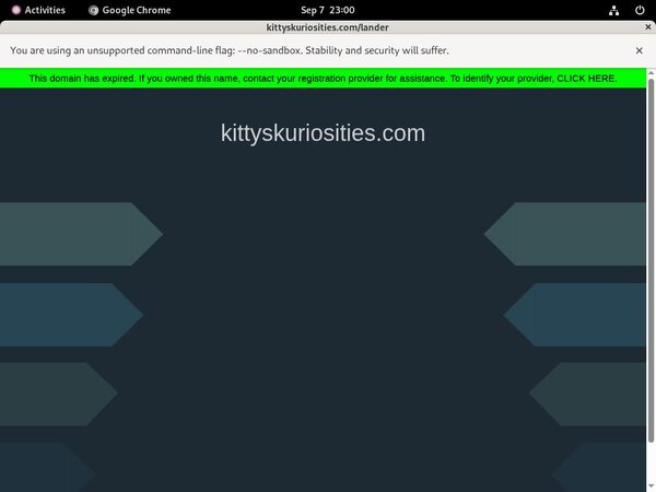 Kitty's Kuriosities Offer Paypal Kitty's Kuriosities Offer Paypal