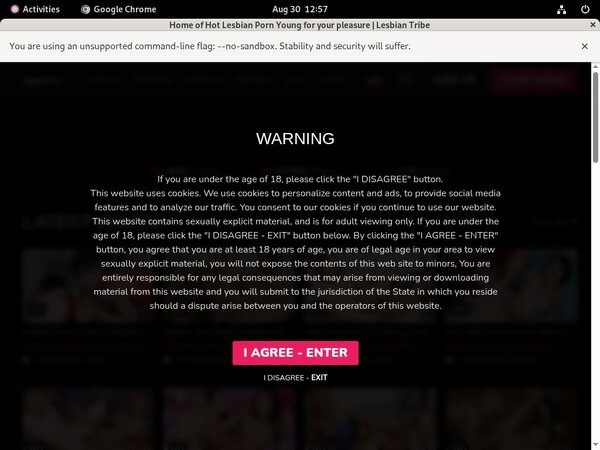 Lesbiantribe.com Gay Porn