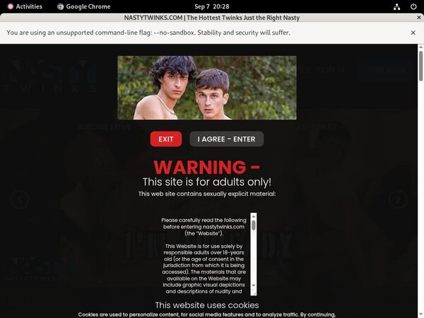 Nasty Twinks Blog