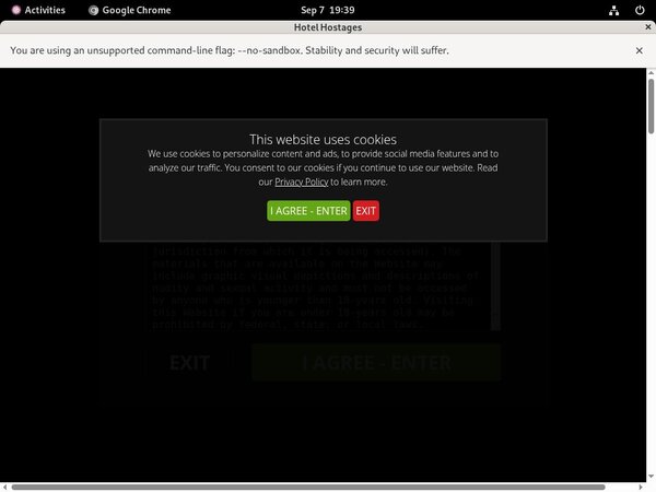 New Hotel Hostages Passwords