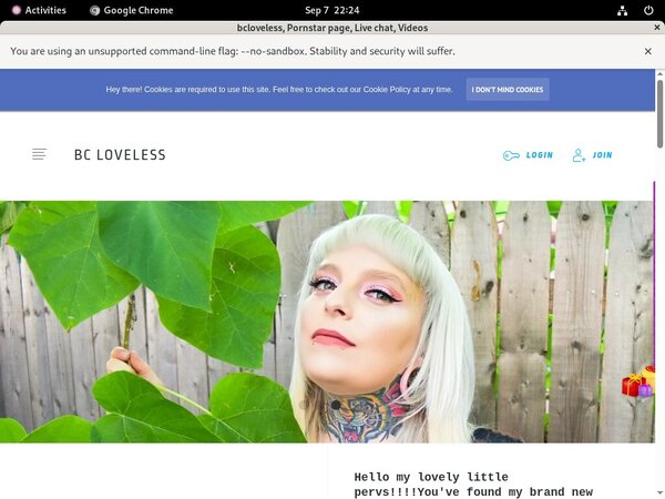 Paypal Bcloveless?