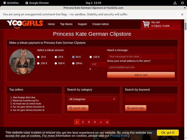 PrincessKateGerman One Year