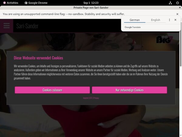 Sari Sander Accounts Working