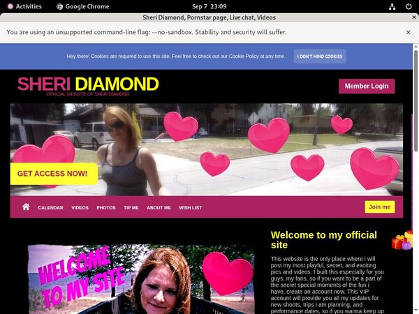 Sheri.modelcentro.com Paswords