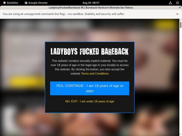 Subscribe To Ladyboys Fucked Bareback