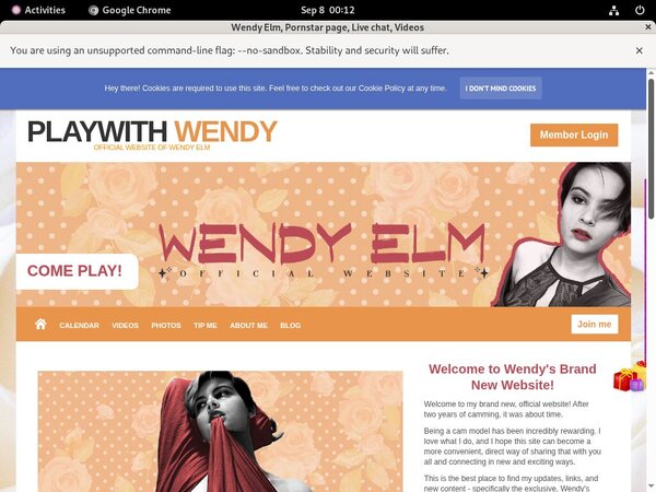 Wendy Elm Site Passwords