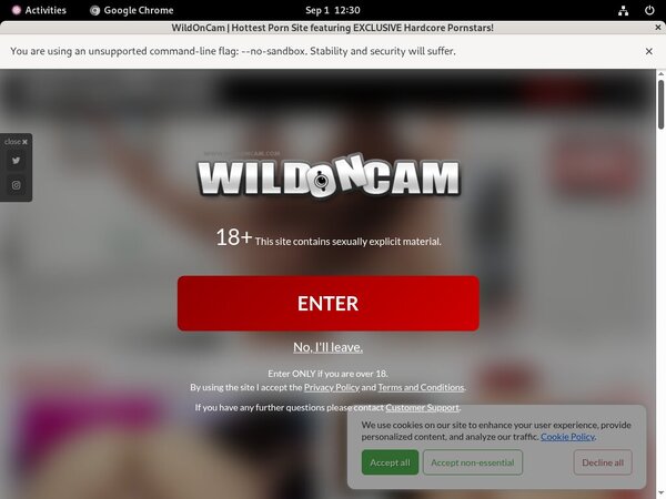 Wild On Cam Porns