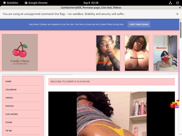 Accounts To Camilacherryxxx.modelcentro.com