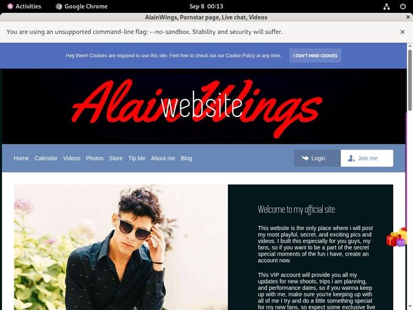 AlainWings Vk