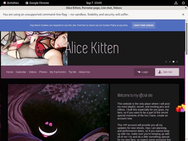 AliceKitten Rocketgate
