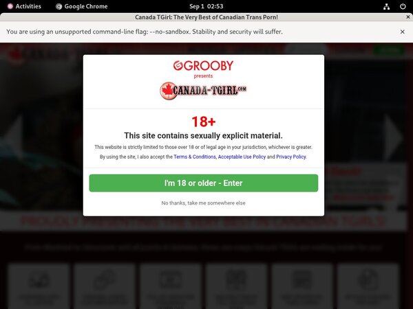 Canada-tgirl.com Payment Options