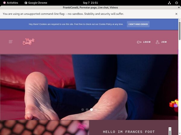 FrankiCavalli Premium Password