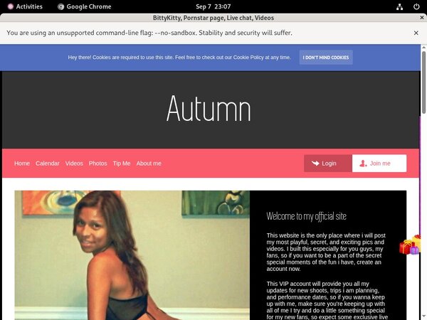 Free Account Premium BittyKitty