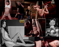 Free Login Subspace Land s0