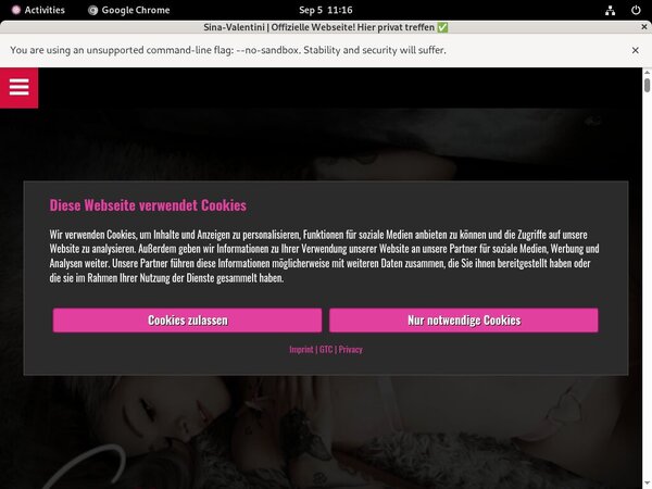 Free Users For Sina Valentini