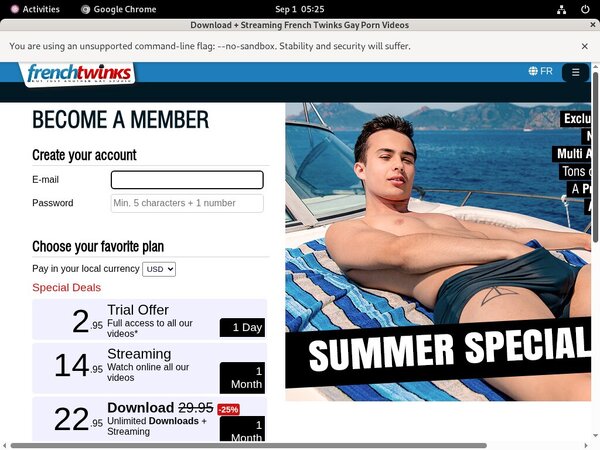 French Twinks Low Price