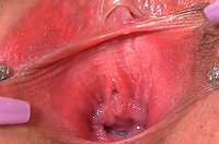 Gapemypussy With Online Check s2