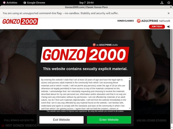 Gonzo 2000 Porn Pass