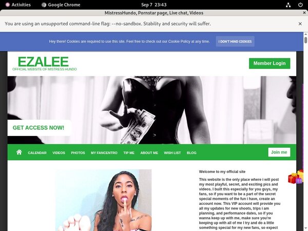 Izaleecortez.modelcentro.com With Iphone