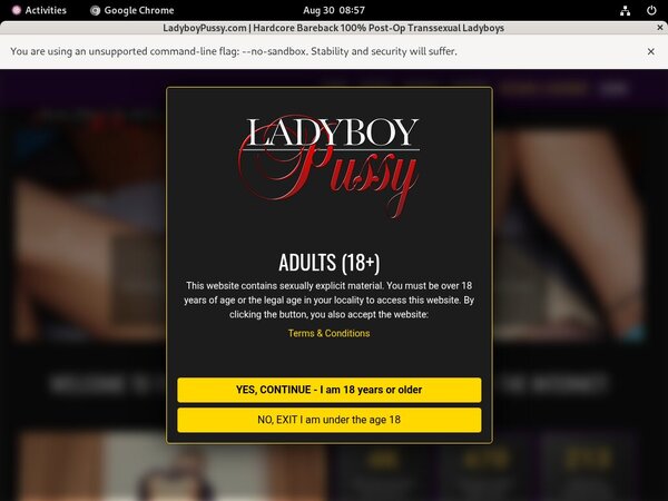 Ladyboy Pussy Creampie