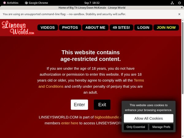 Linseysworld Epoch Payment