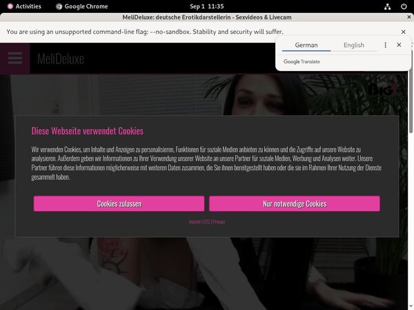 MeliDeluxe Password Generator
