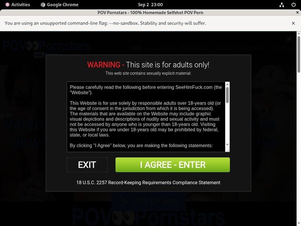 POV Pornstars Member Passwords