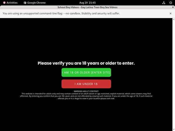School Boy Videos Login Generator