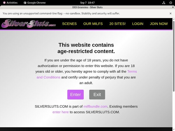 Silversluts Account Blog