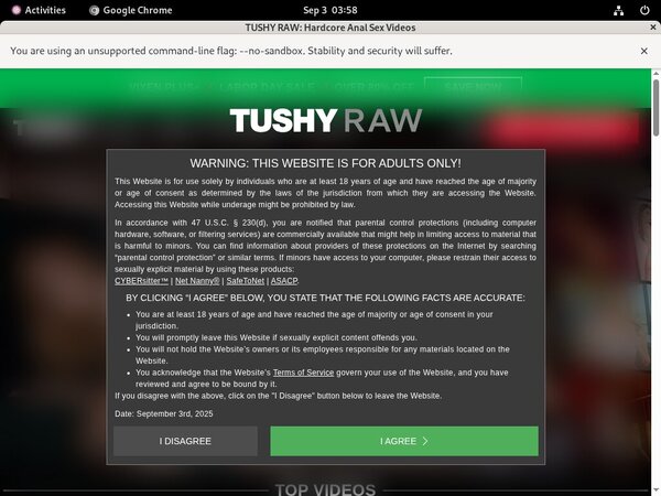 Tushyraw Porn Password
