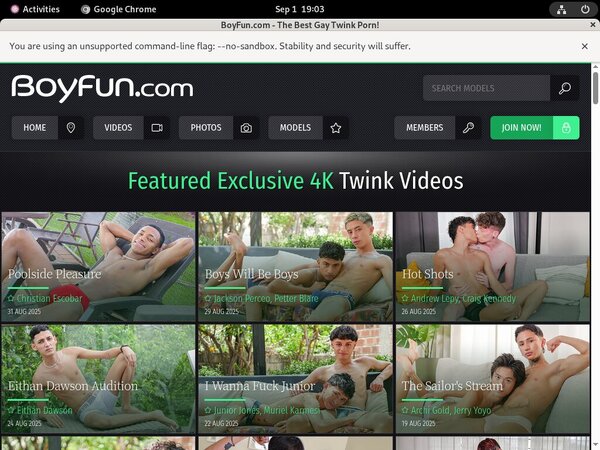 Boyfun.com Free Account Passwords